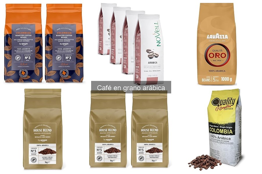 Cómo seleccionar café arábica de alta calidad en 2026