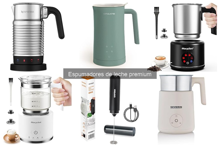 Guía de uso y mantenimiento para espumadores de leche premium