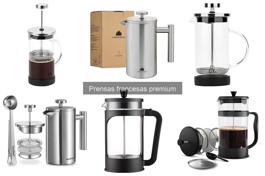 ** Problemas comunes con prensas francesas premium y soluciones