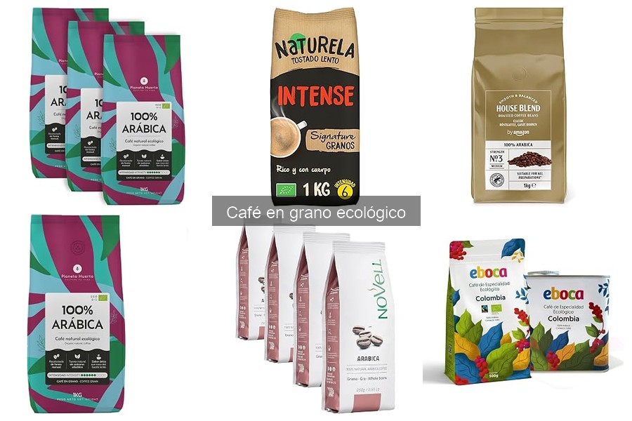 Qué es el café en grano ecológico y sus beneficios