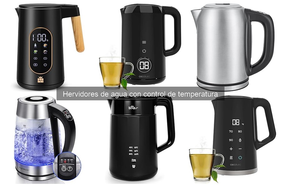 ¿Qué son los hervidores de agua con control de temperatura?