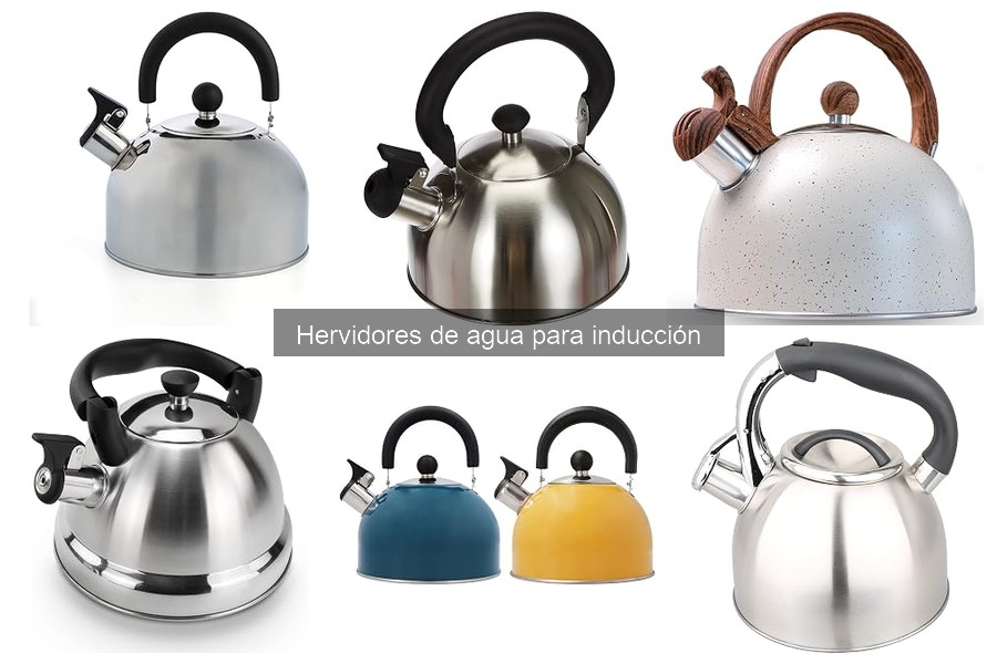 Ventajas de los Hervidores de Agua para Inducción